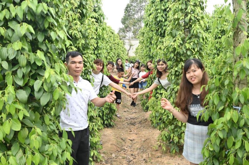 Tour Phú Quốc 4 Ngày 3 Đêm – Khám Phá VinWonders, Vinpearl Safari và Cáp Treo Hòn Thơm 4