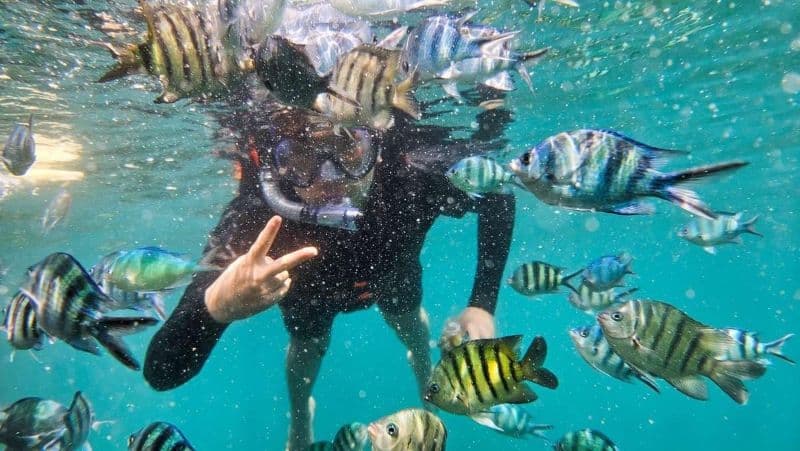 TOUR SUNSET TOWN XEM NHẠC NUÓC VÀ NGẮM PHÁO HOA 2